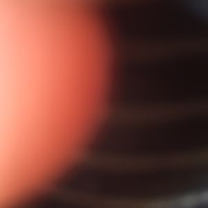 Meet your Posher, Bradley